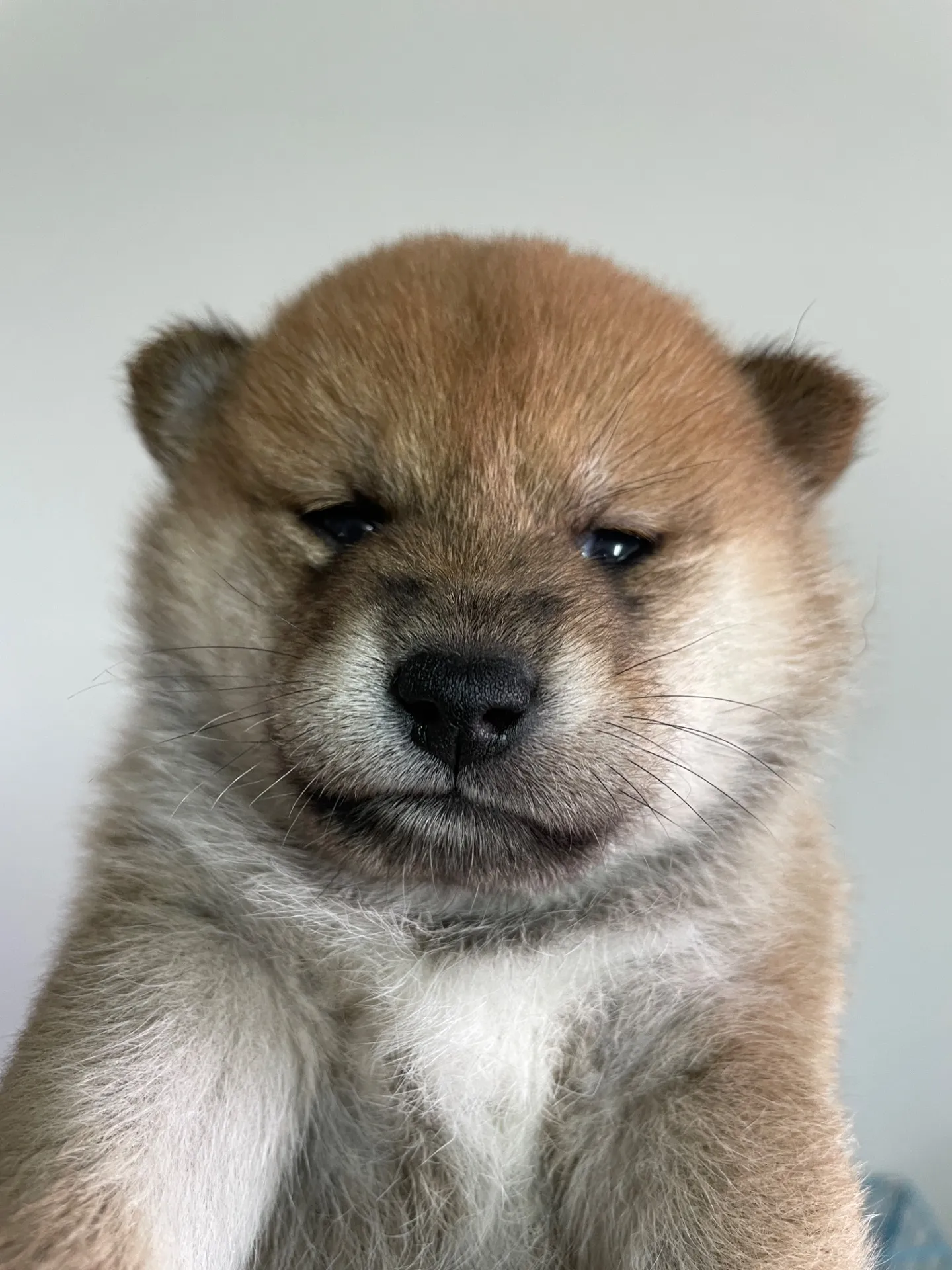 我が家から巣立っていきました。