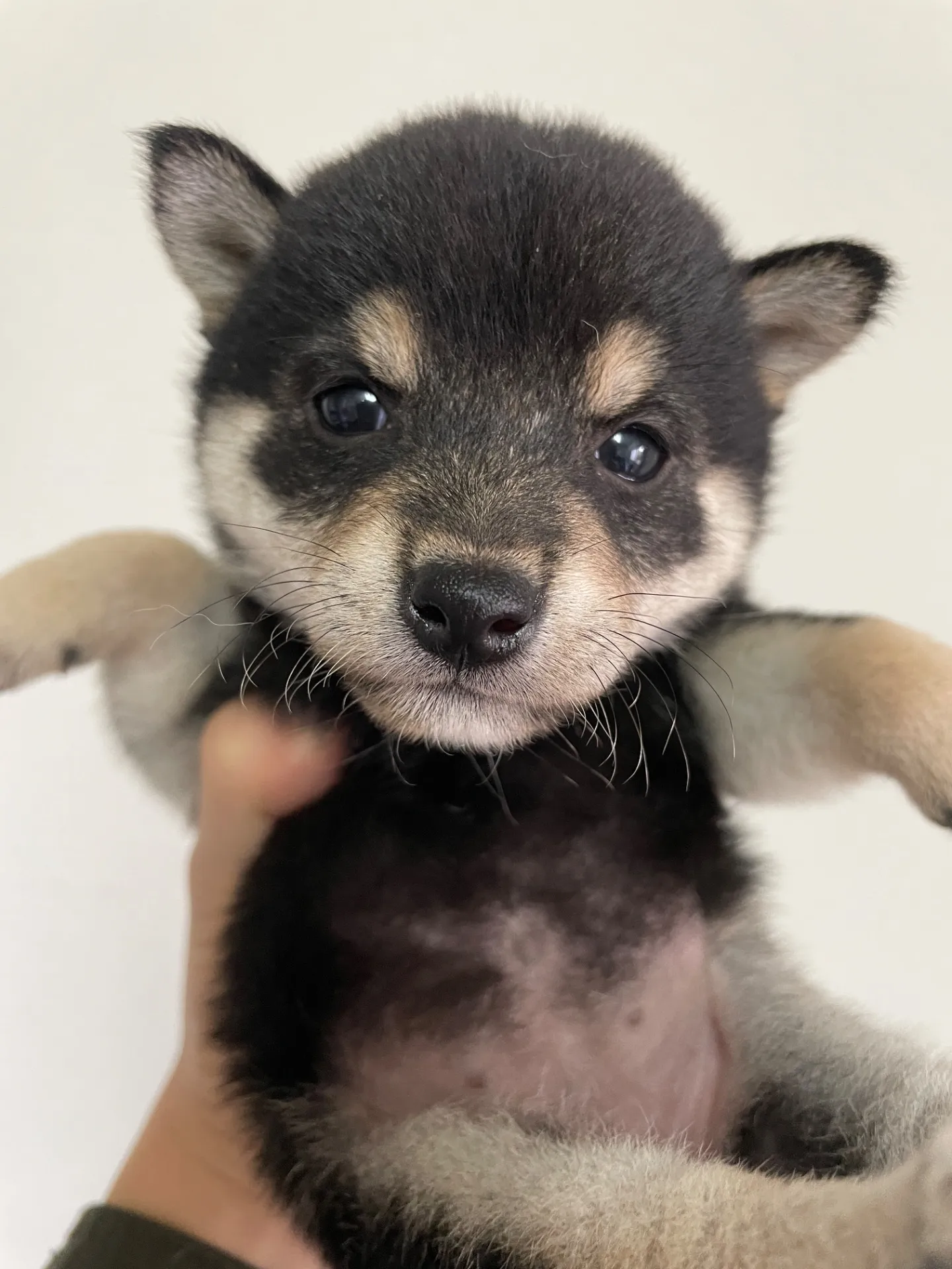 我が家から巣立っていきました。